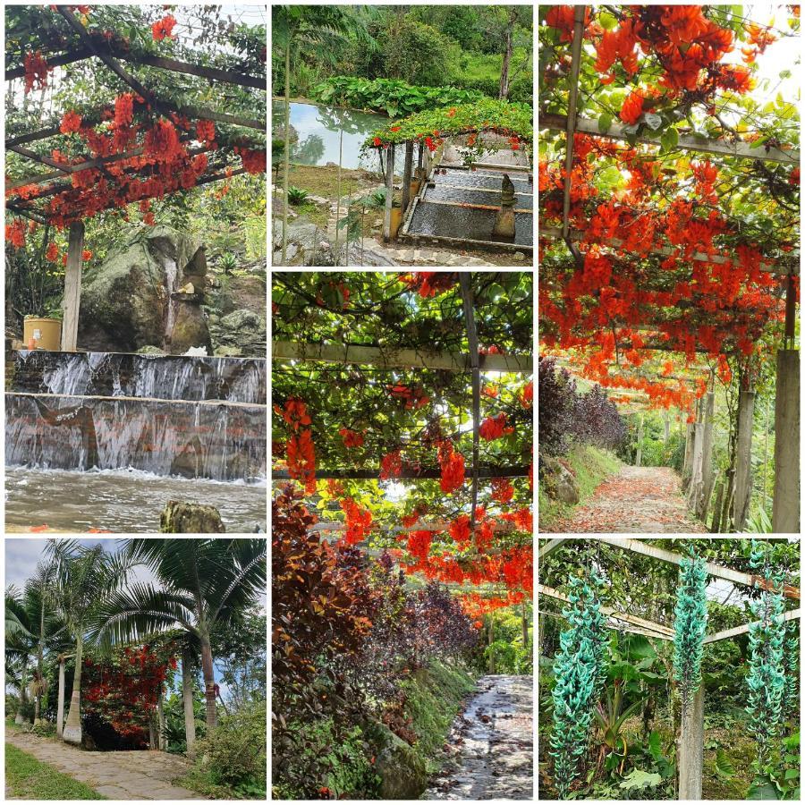 Finca Jardin Del Agua Sasaima Exterior foto