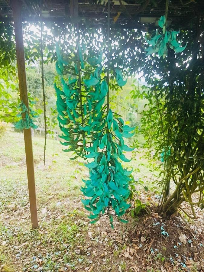 Finca Jardin Del Agua Sasaima Exterior foto