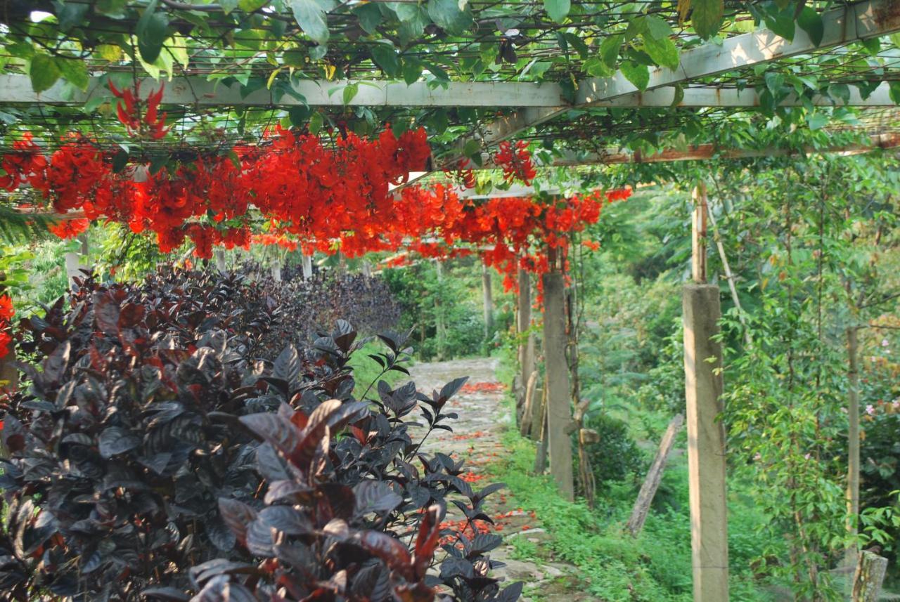 Villa Finca Jardin Del Agua Sasaima Exterior foto