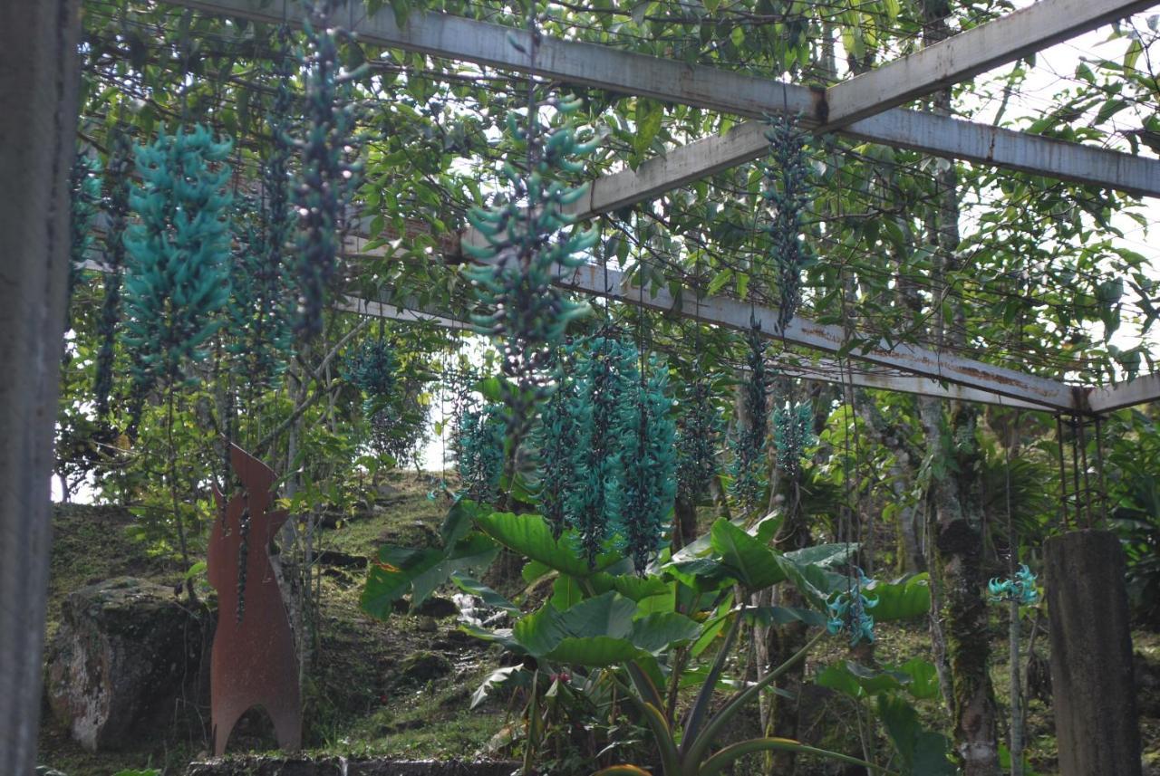 Finca Jardin Del Agua Sasaima Exterior foto